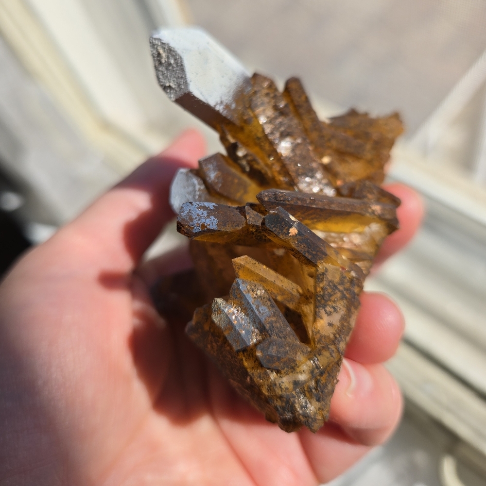 Solaris Quartz Cluster - Picture 9 of 10